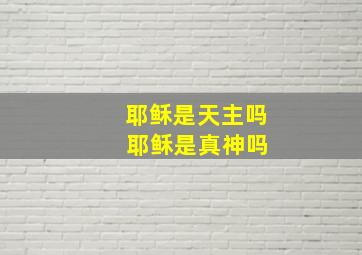 耶稣是天主吗 耶稣是真神吗